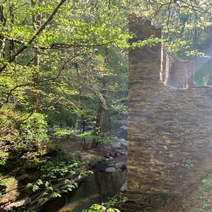 Meet your Posher, Rhea